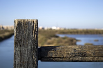 Close-up of a craftsman staining a wooden fence under a bright blue sky.