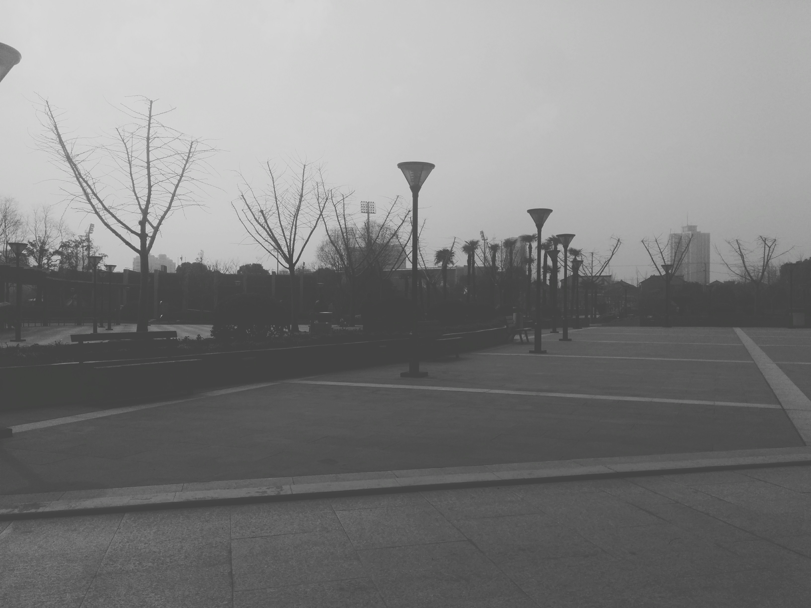 Free Unsplash photo from JunXi Deng