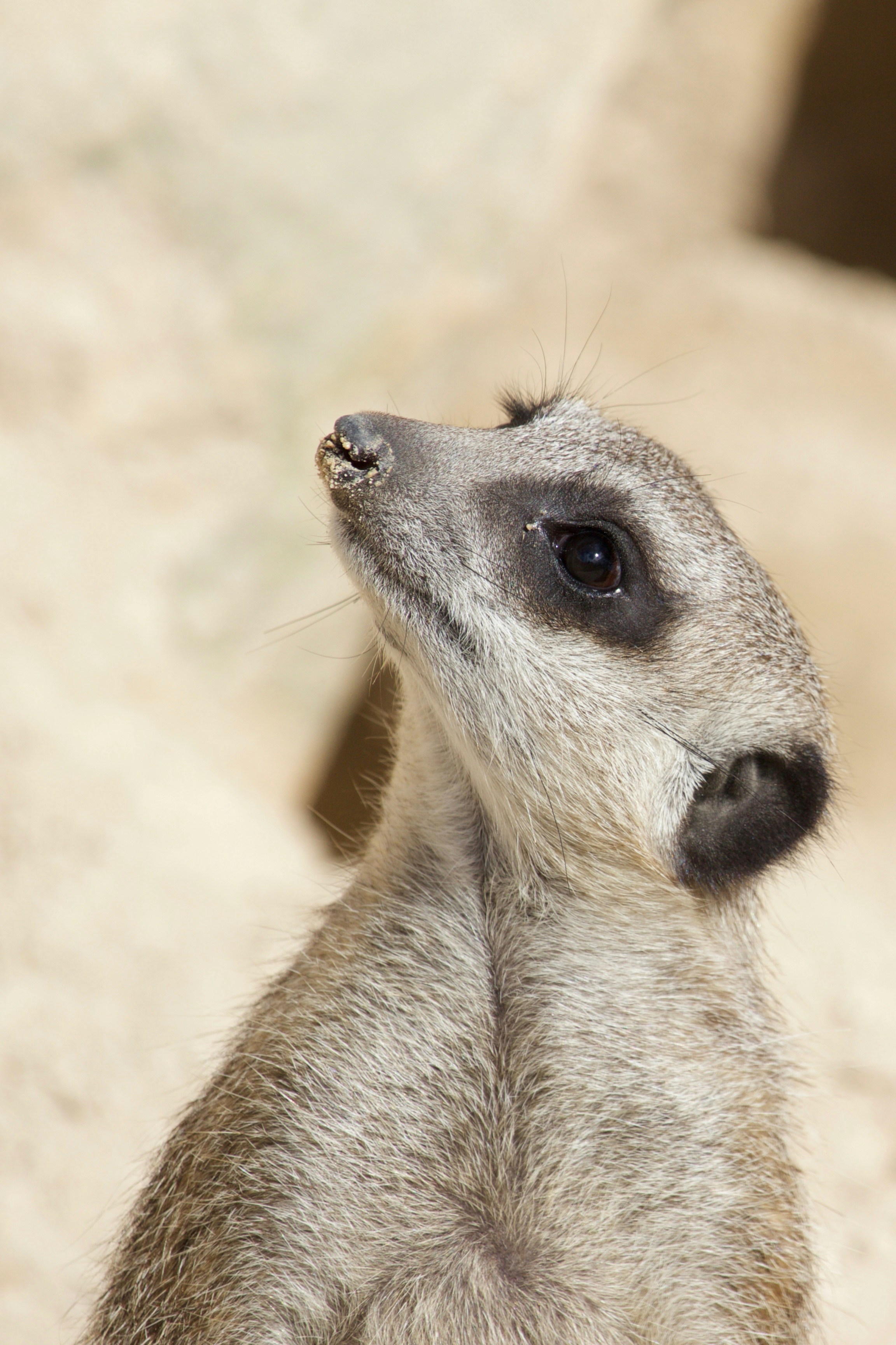 Free Unsplash photo from Ashley Rich