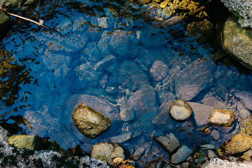 gray and brown rocks on water