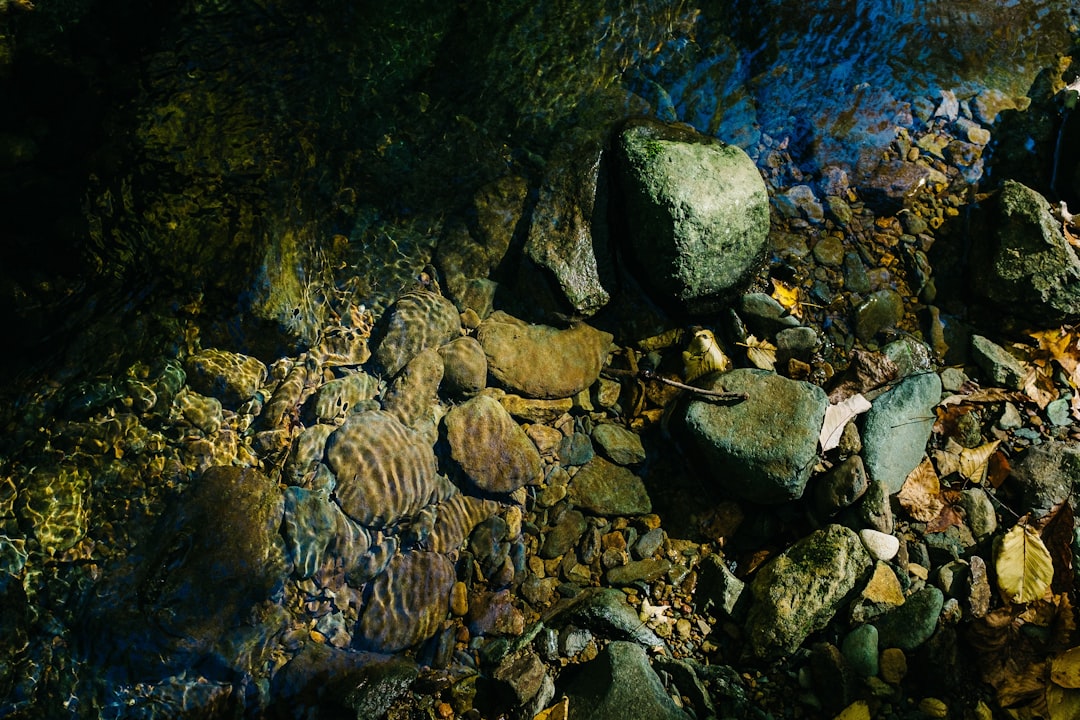 brown and gray rocks on water