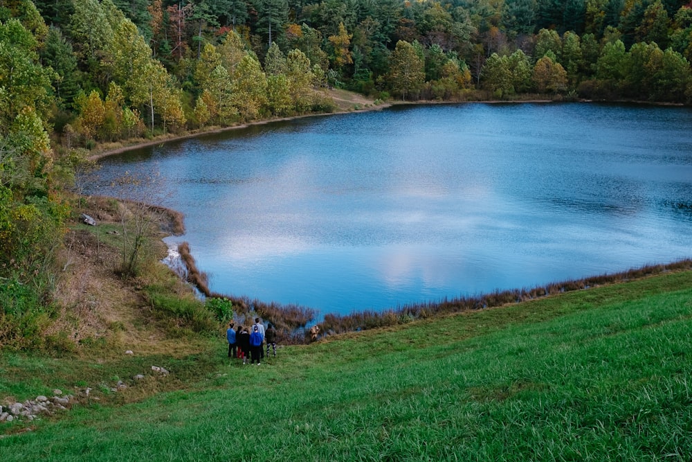 people walking on green grass field near lake during daytime