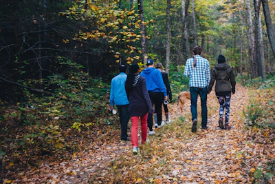 Groupe de personnes marchand forêt. En sopho-balade