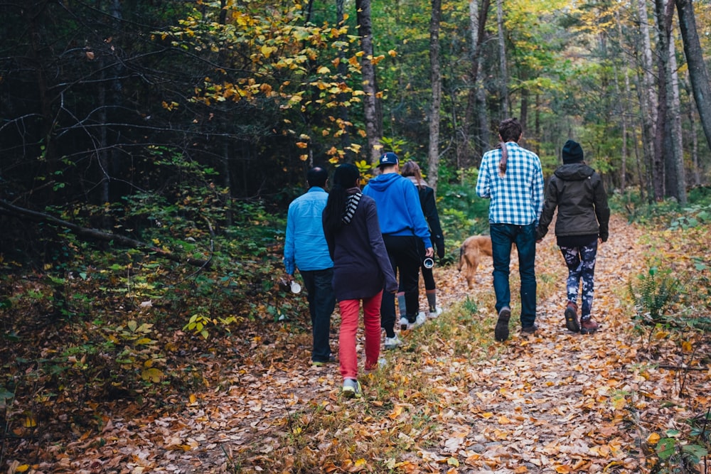 people walking on forest during daytime