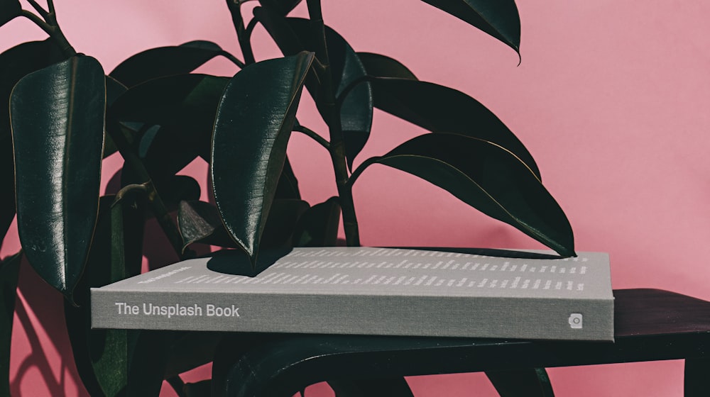 The Unsplash book