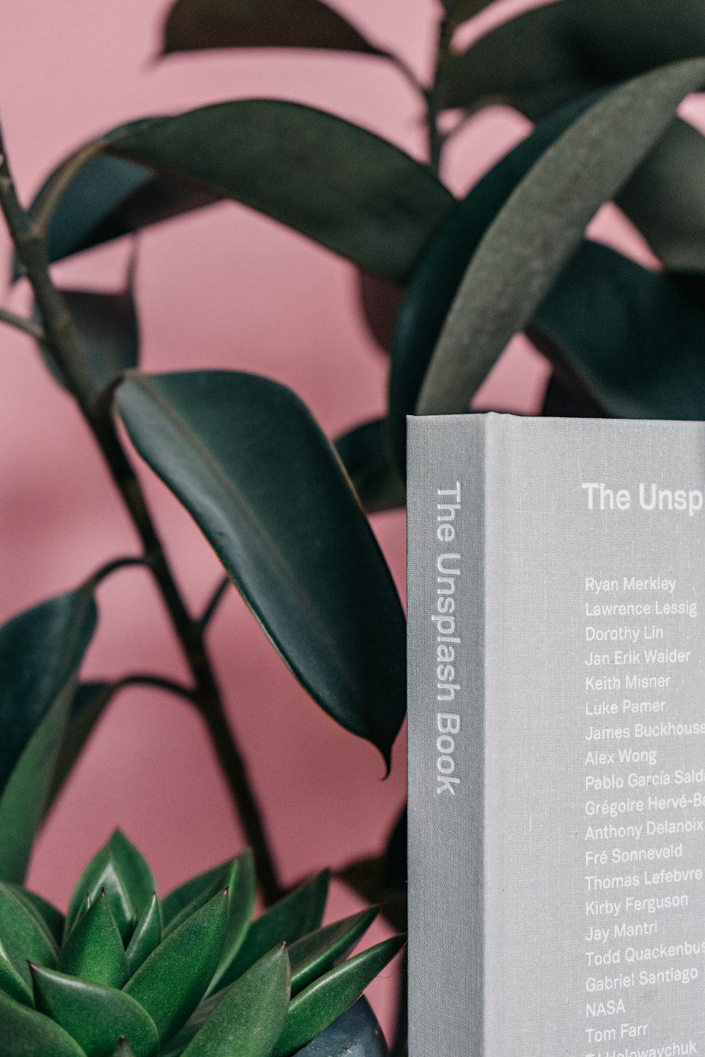 The Unsplash Book selective focus photography