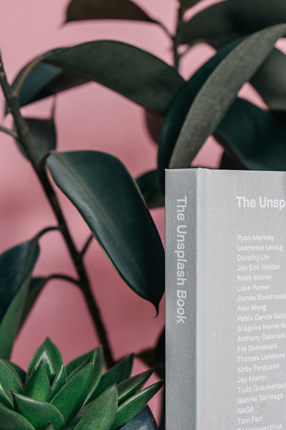 Das Unsplash Book selektive Fokusfotografie