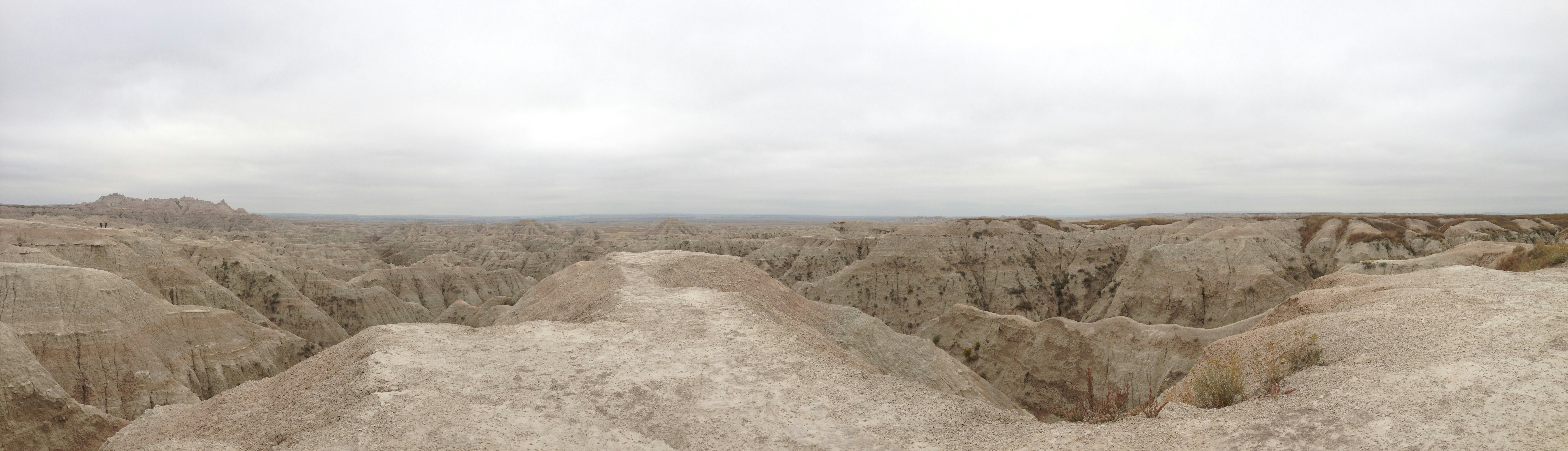 Free Unsplash photo from Carol Gunby