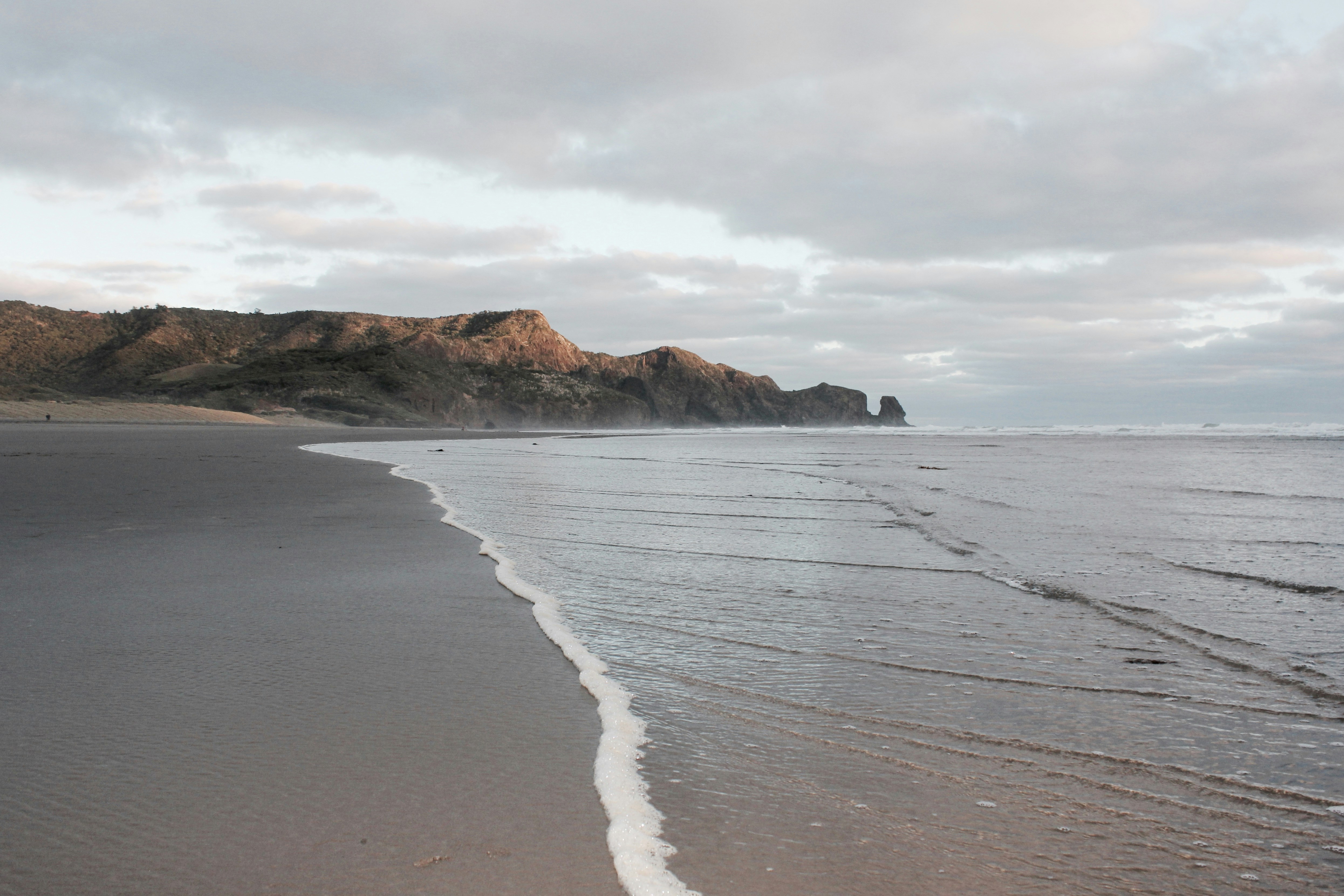 The Evolution of Disgust: Why Rotten Food Repels and What It Reveals About Human Nature