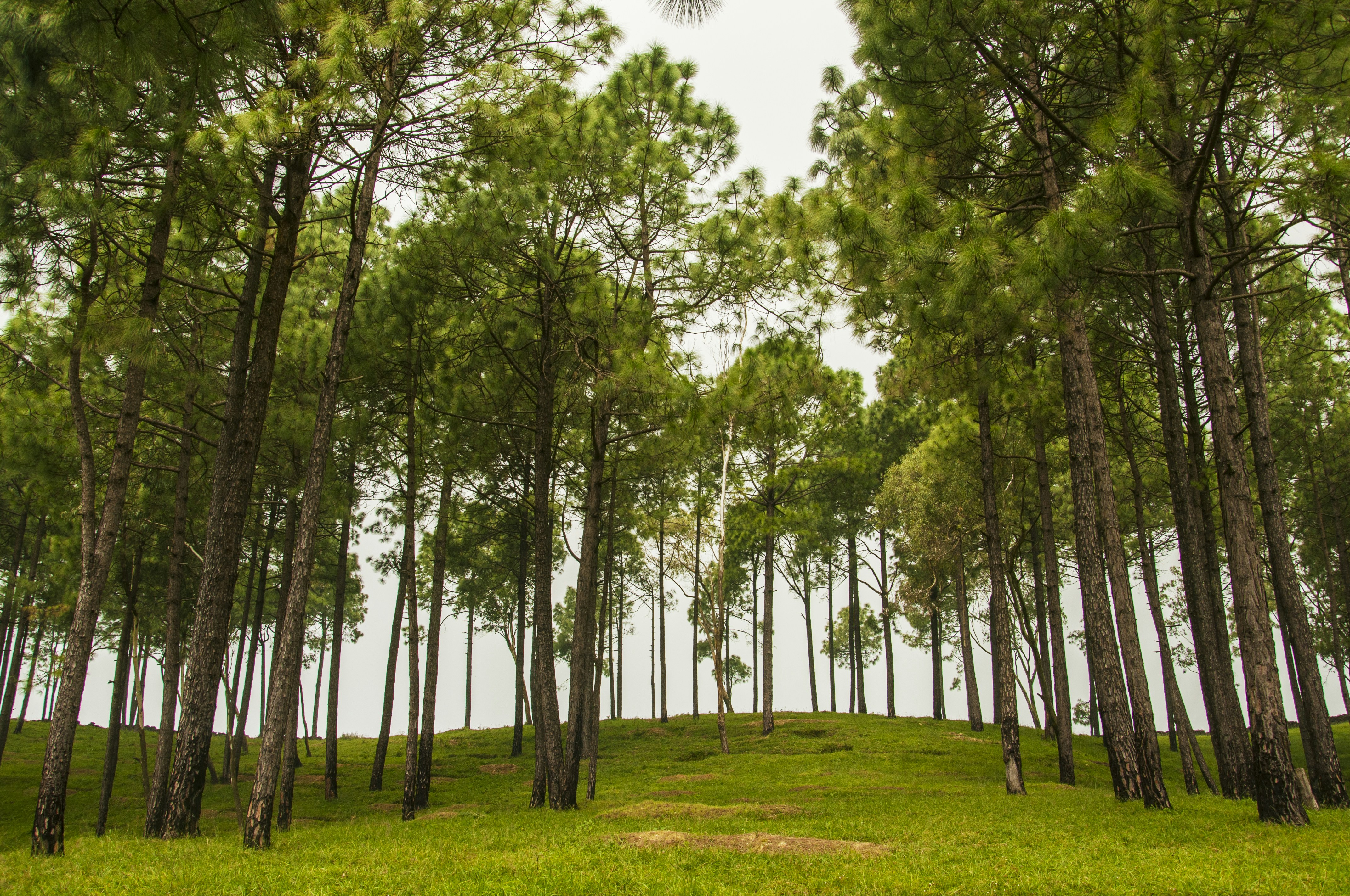 Free Unsplash photo from Anil Rawat