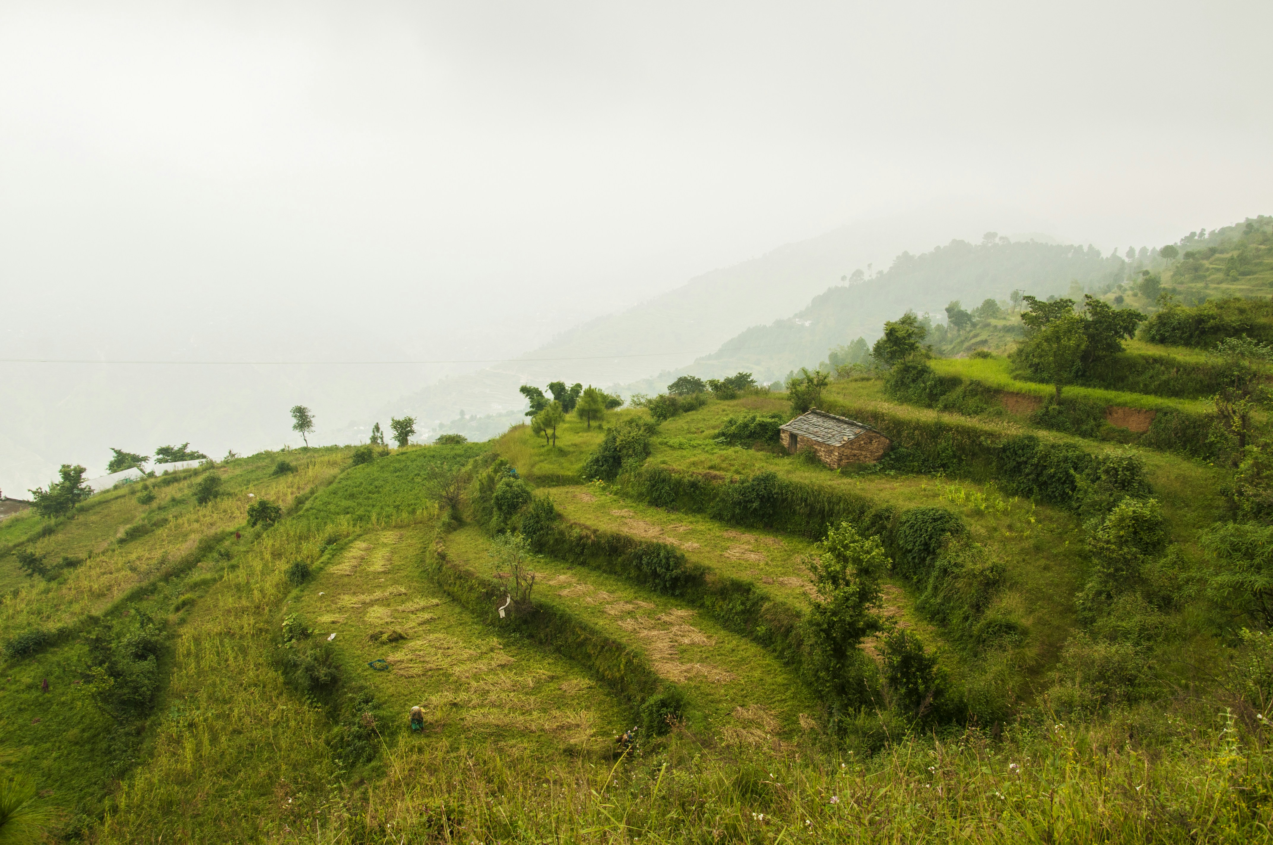 Free Unsplash photo from Anil Rawat