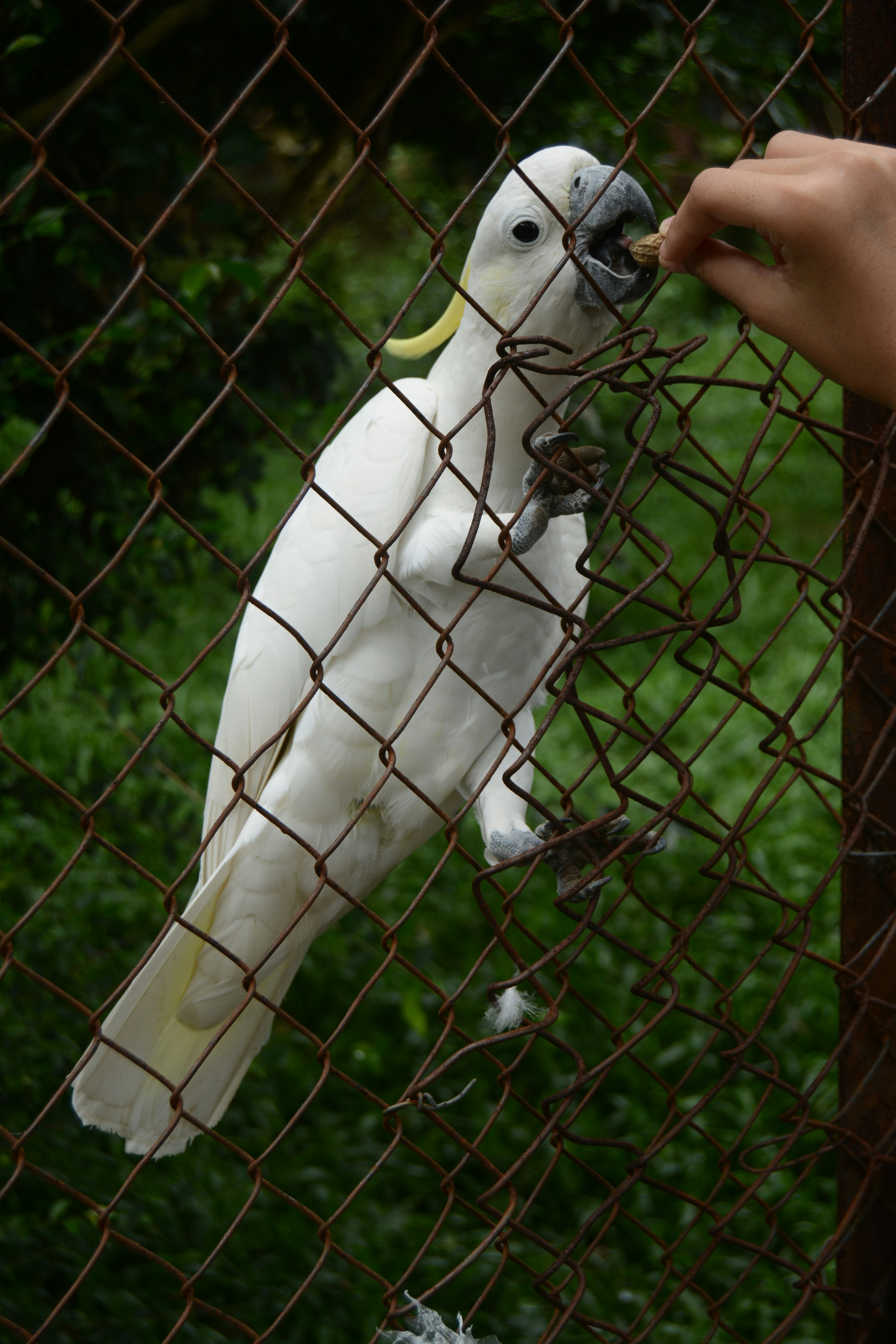 Free Unsplash photo from panji jaya