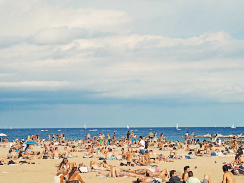 many people on brown sand beach on a sunny day