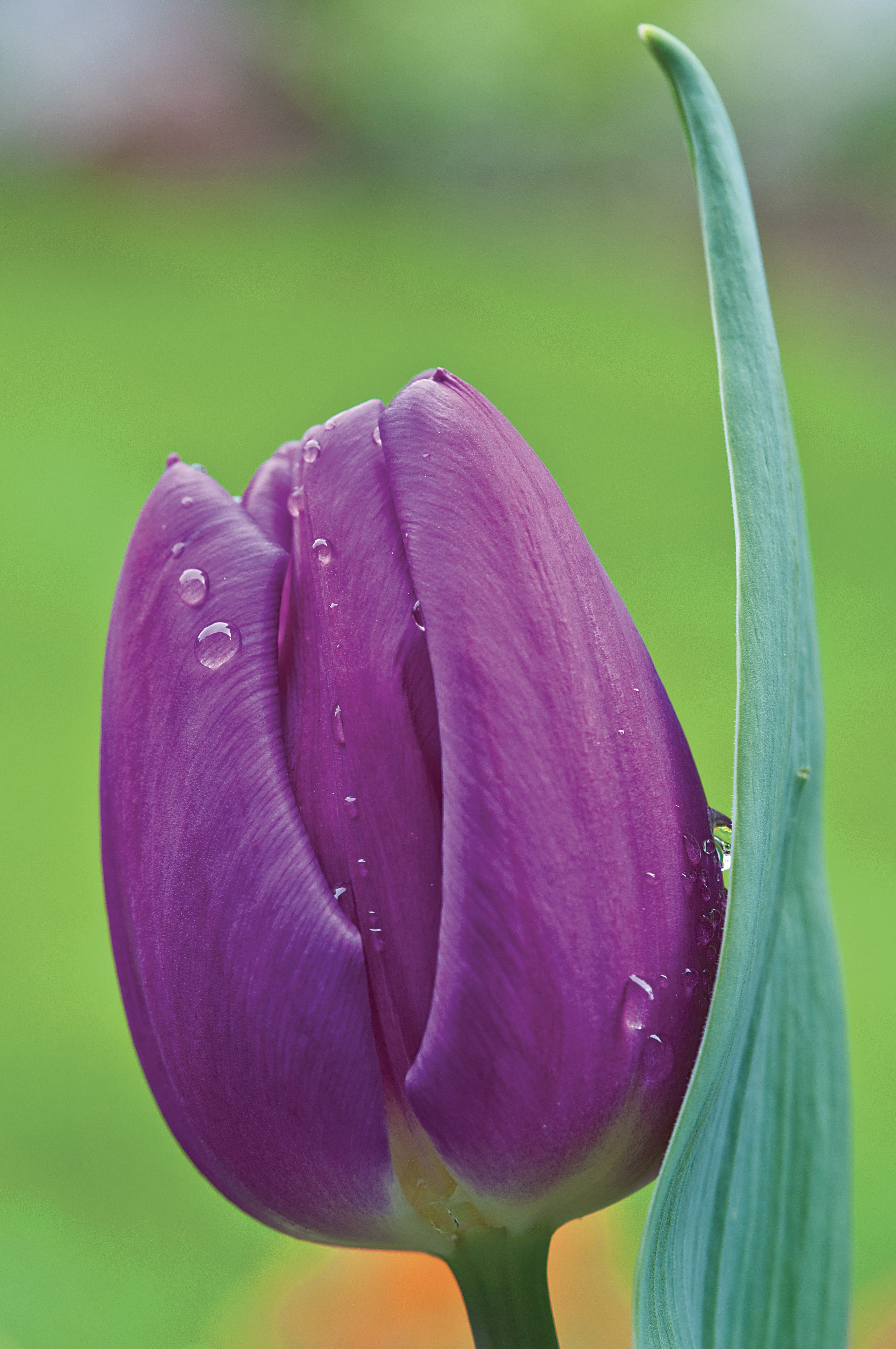 Free Unsplash photo from Michael McQuillan