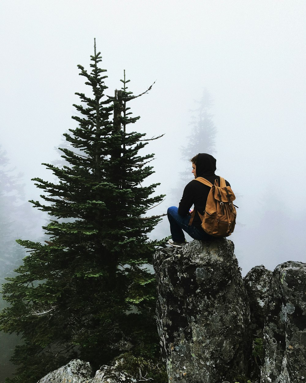 Persona che si siede sull'albero di fronte alla roccia