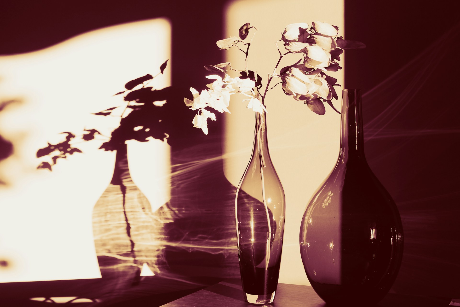 An elegant arrangement of textured fabrics and a glass vase, illuminated by soft light, showcasing the beauty of simplicity and design.