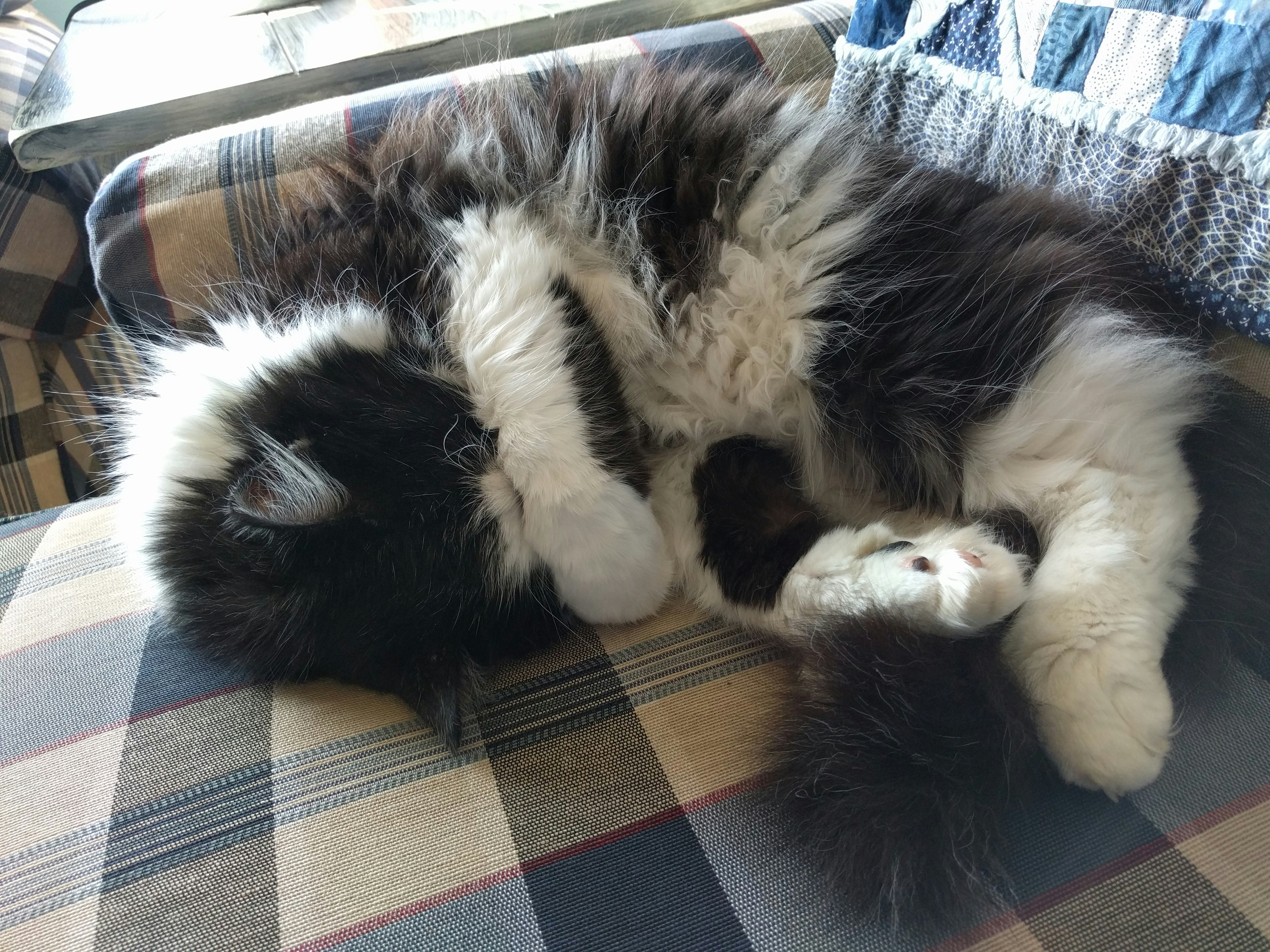 Free Unsplash photo from Paper Lake