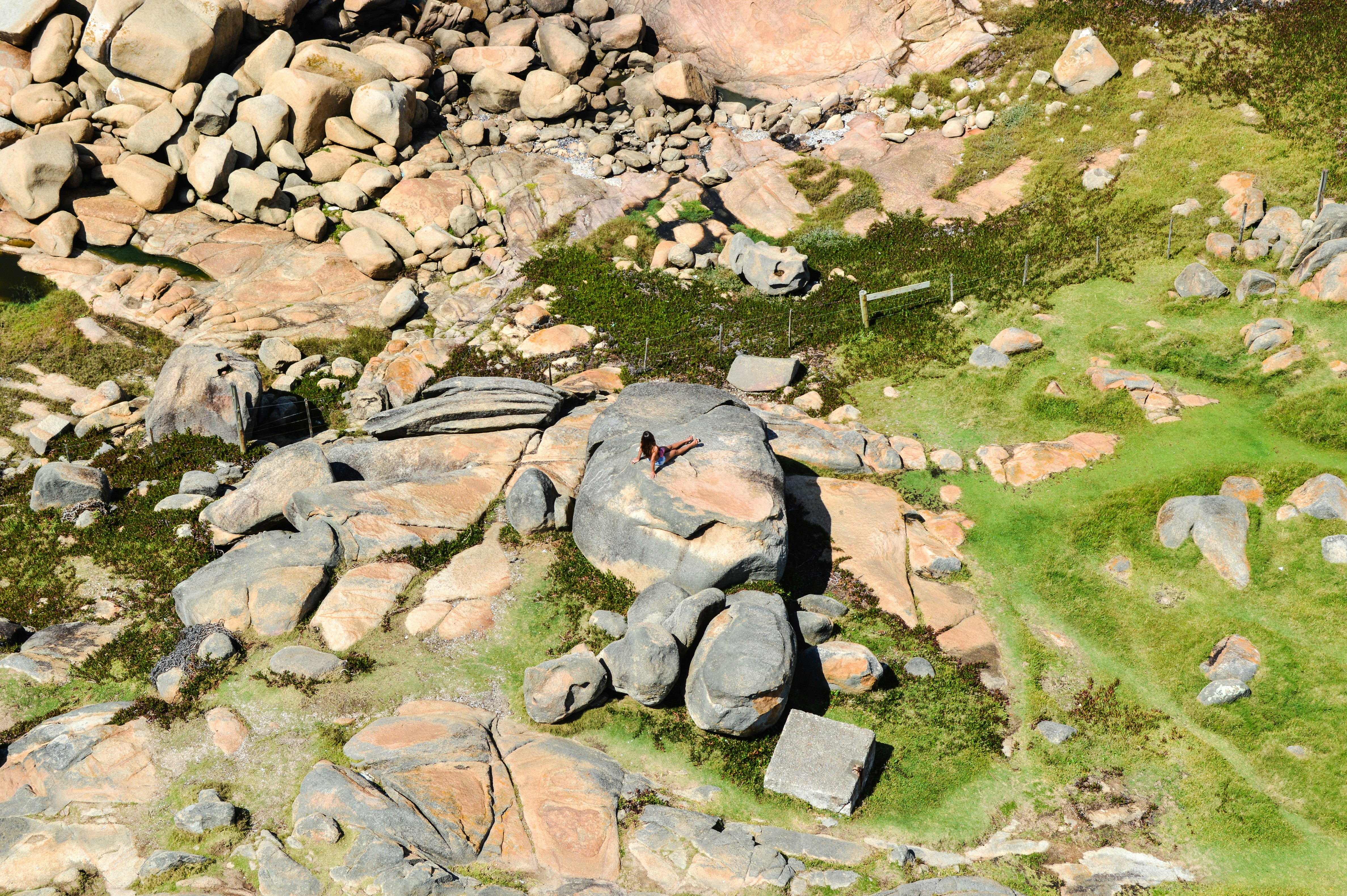 Free Unsplash photo from Mariano Gutiérrez Xavier