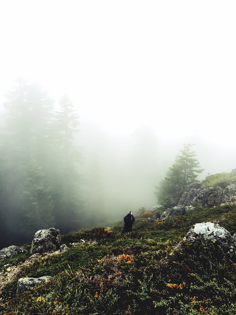 Lago circondato da foreste e nebbia