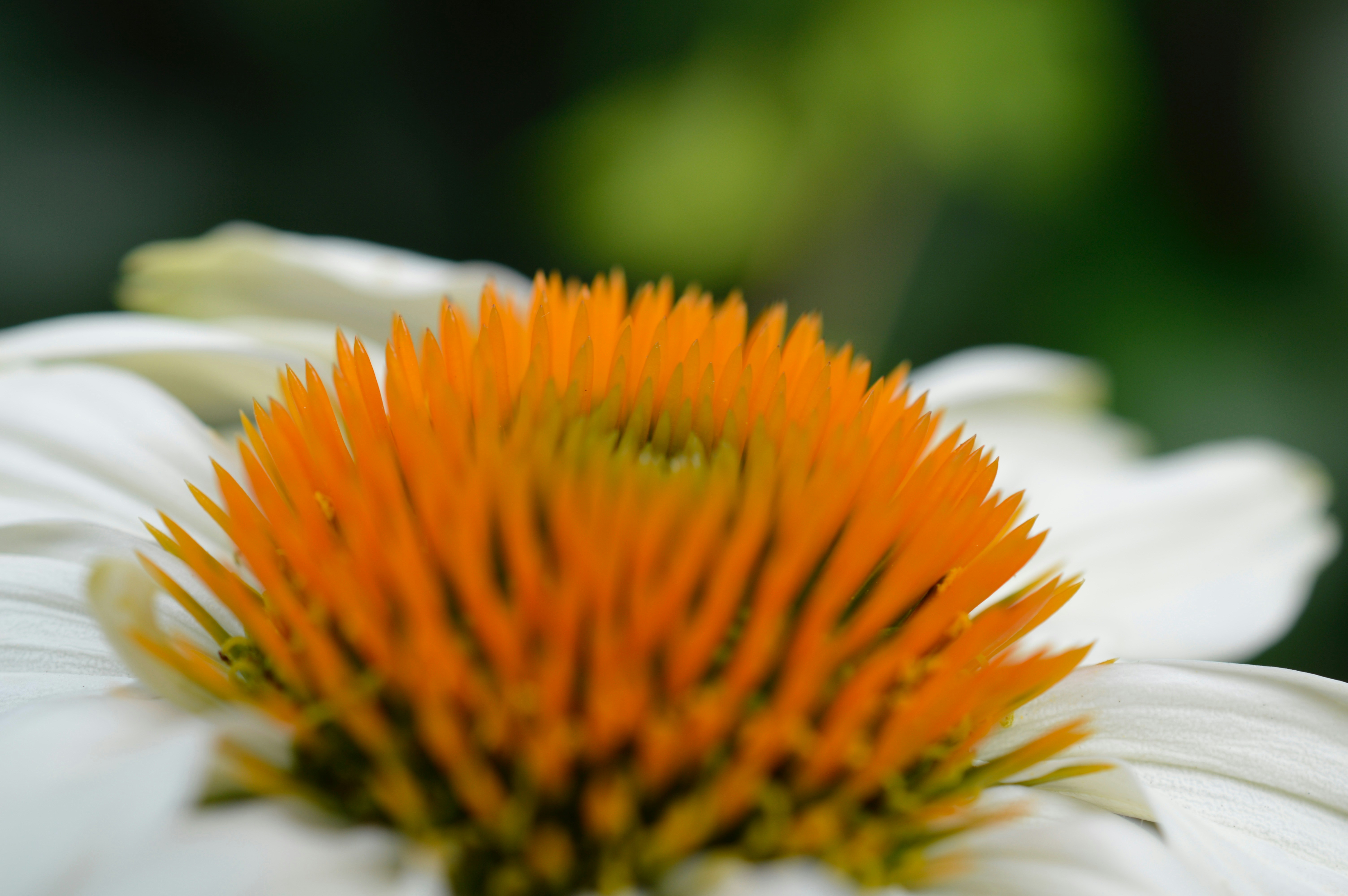 Free Unsplash photo from Daniel Bocksteger