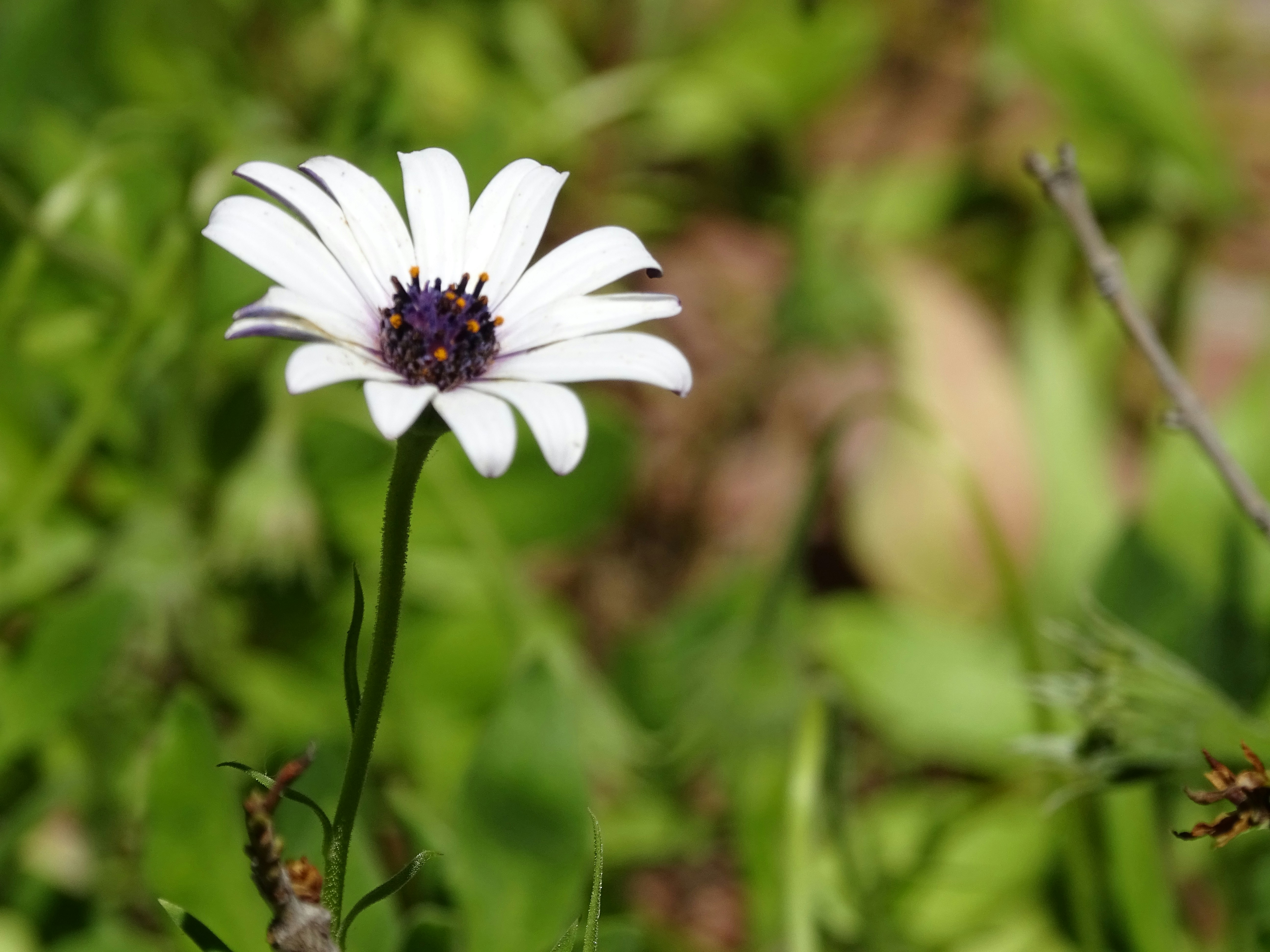 Free Unsplash photo from Nikki Prudencio