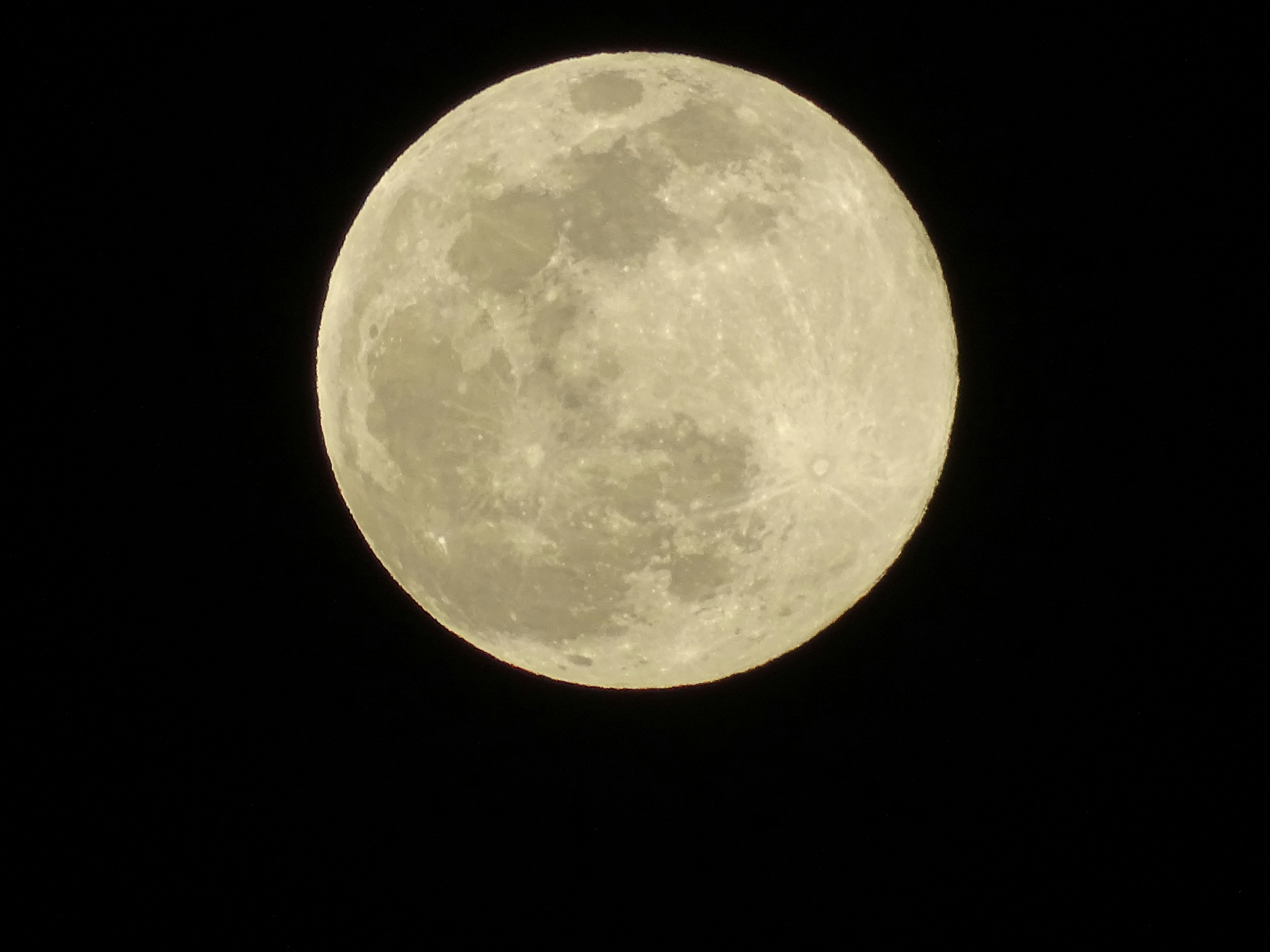 Free Unsplash photo from Nikki Prudencio