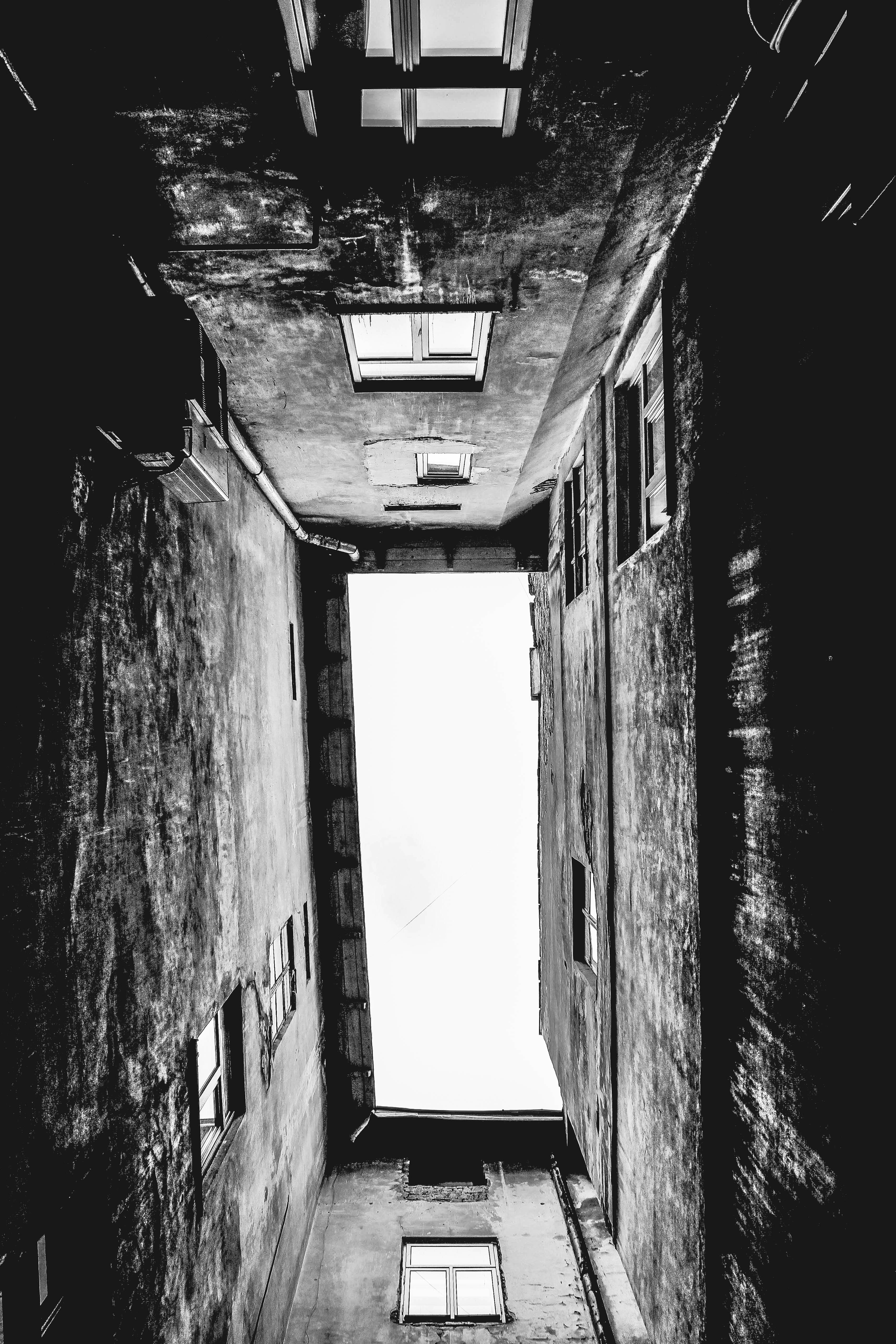 Free Unsplash photo from Olya /Voloshka