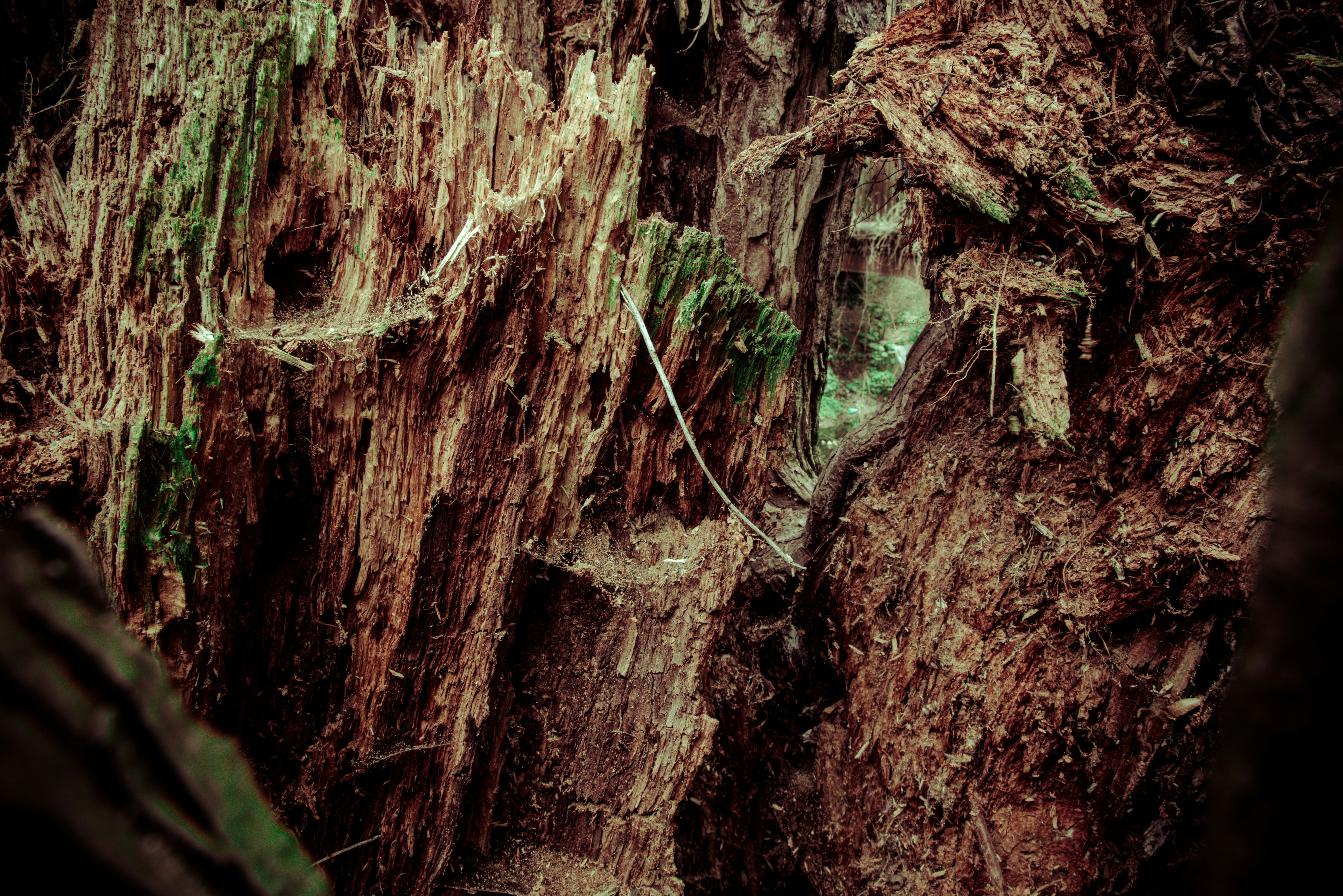 Free Unsplash photo from Paweł Furman