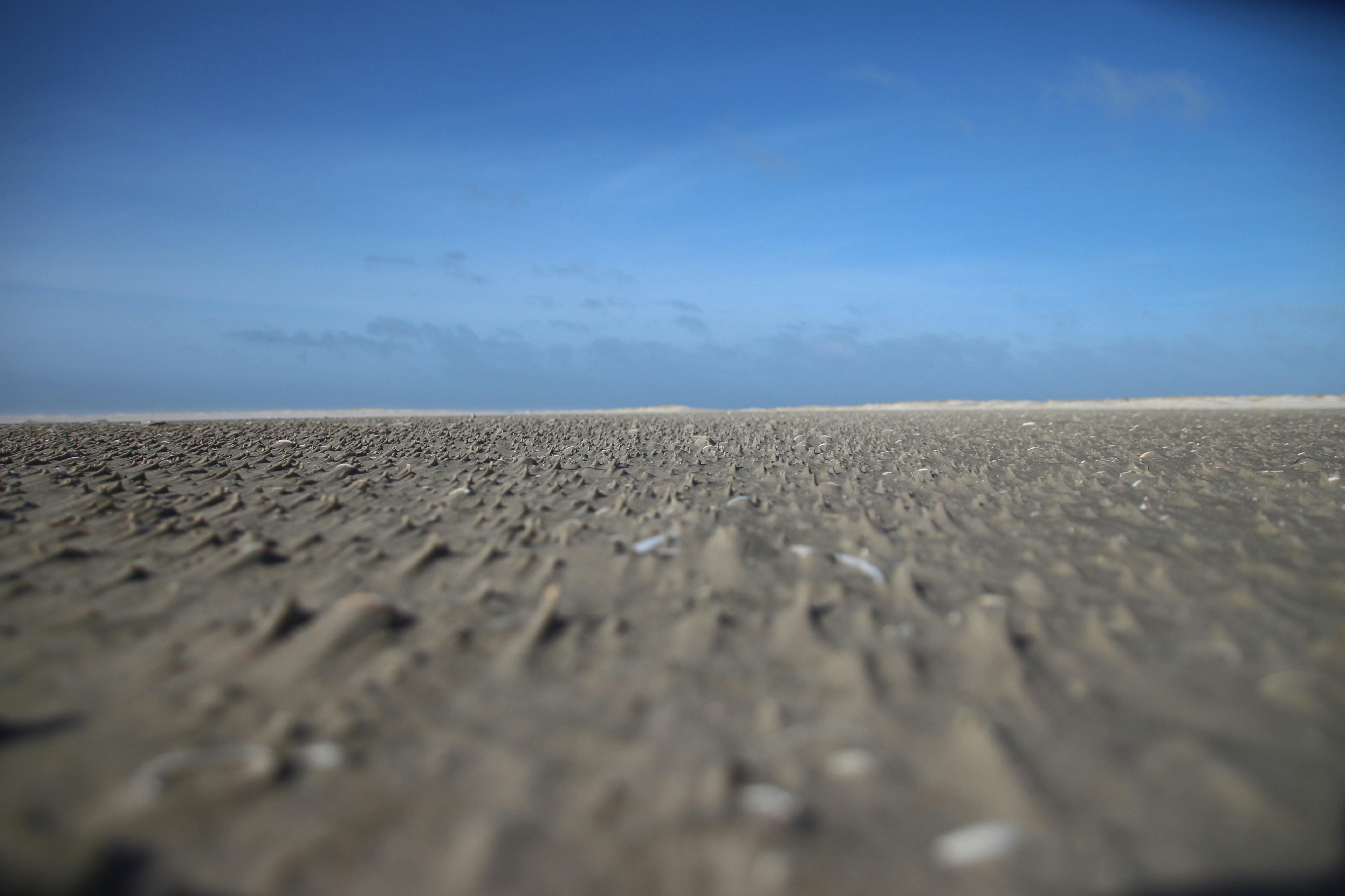 Free Unsplash photo from Melanie Bornschein