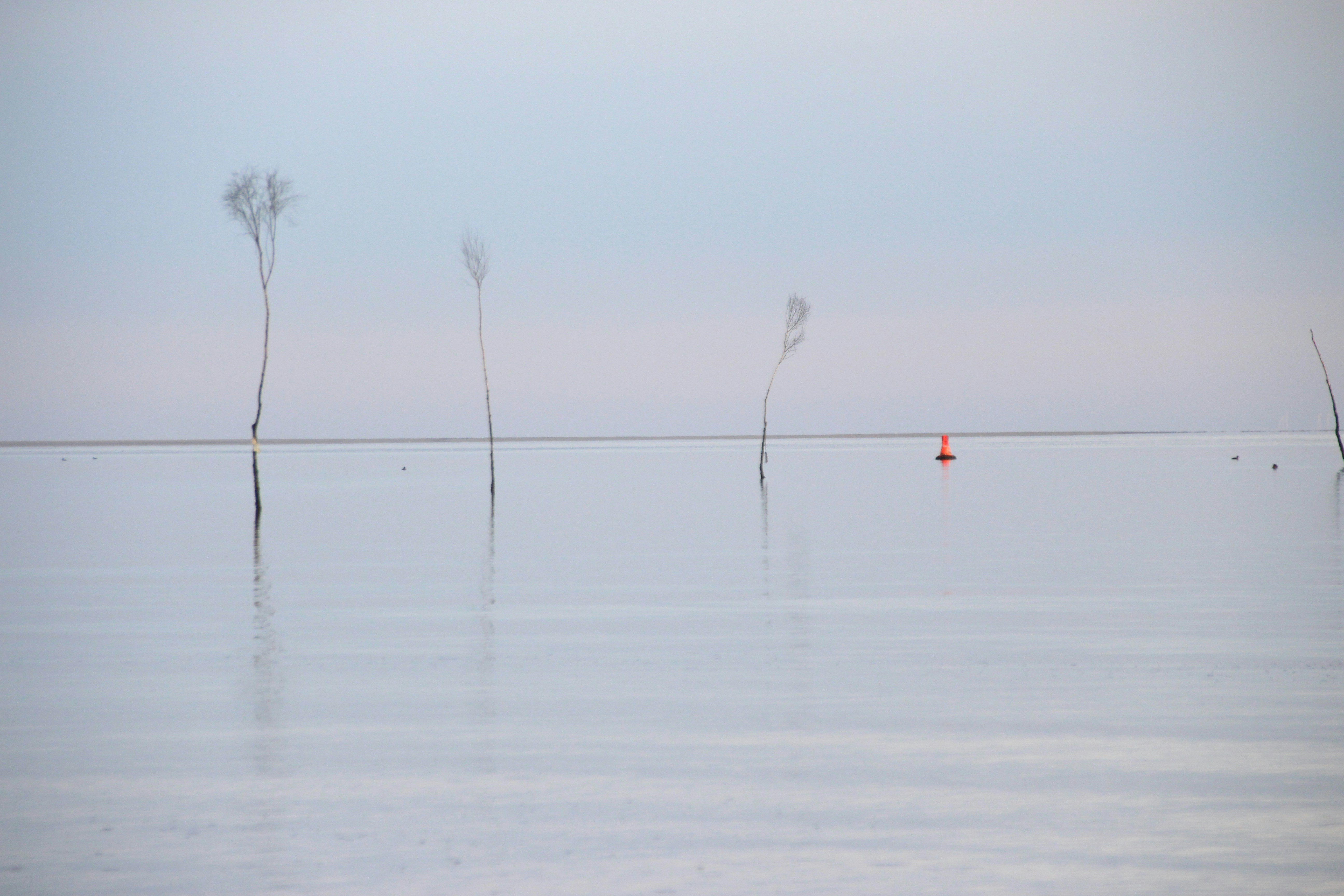 Free Unsplash photo from Melanie Bornschein