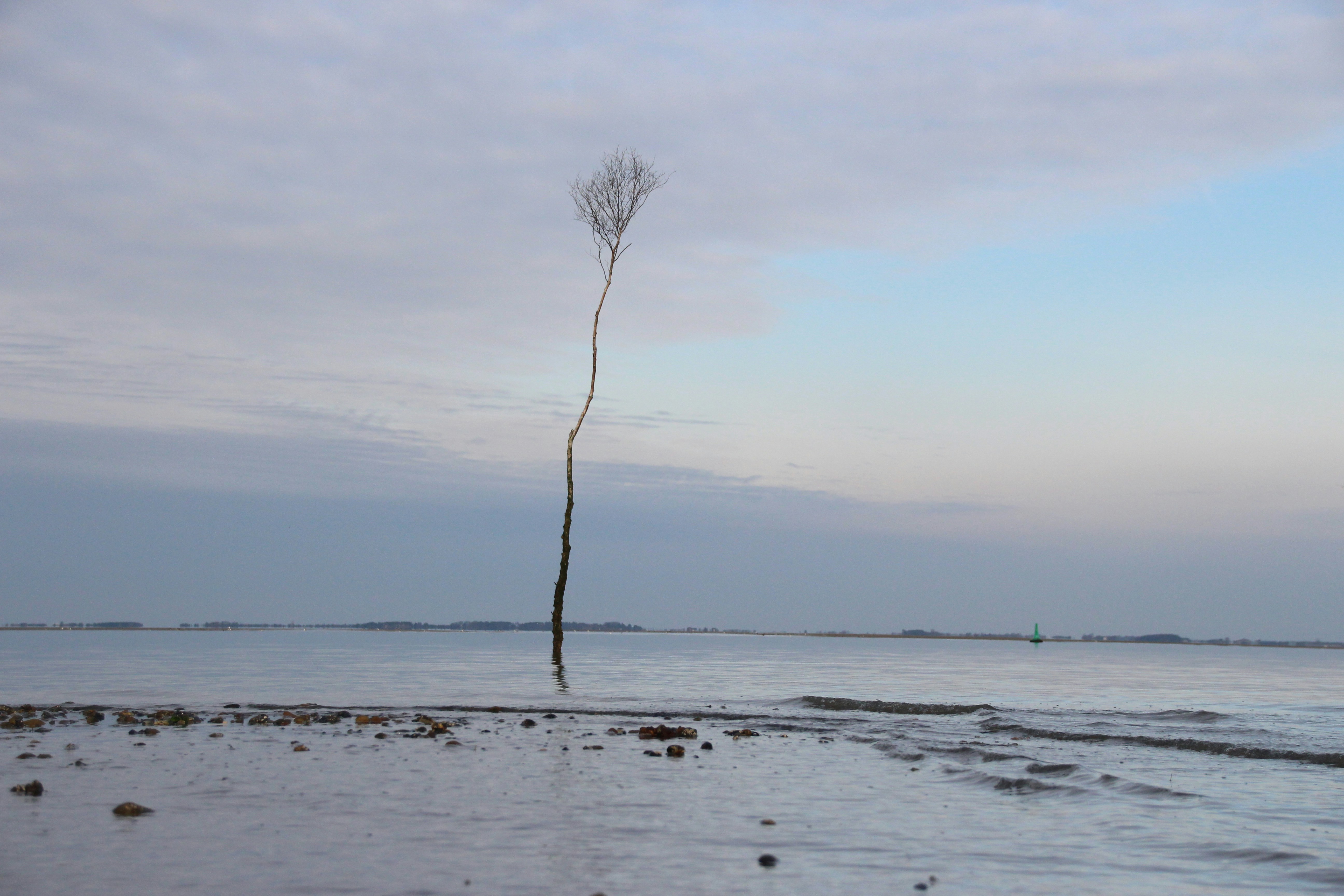 Free Unsplash photo from Melanie Bornschein