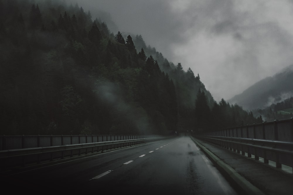 30k+ Rainy Road Pictures | Download Free Images on Unsplash
