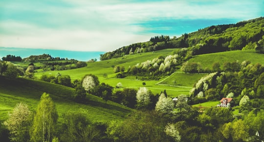 green grass field under blue sky during daytime in Seeheim-Jugenheim Germany