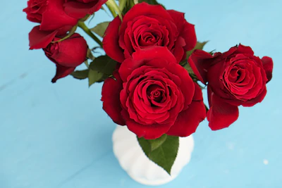 Elegant bouquet of long-stemmed roses arranged in a modern vase.