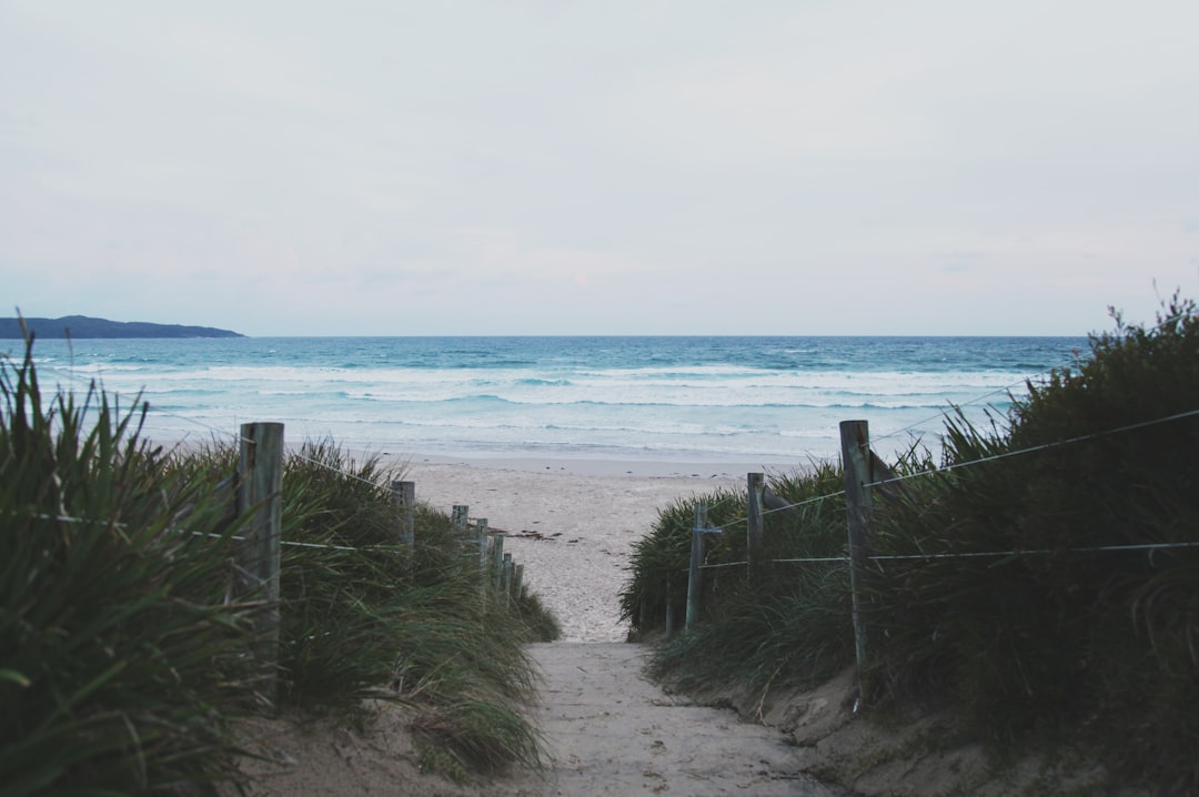 photo of Jervis Bay Territory Beach near Booderee National Park