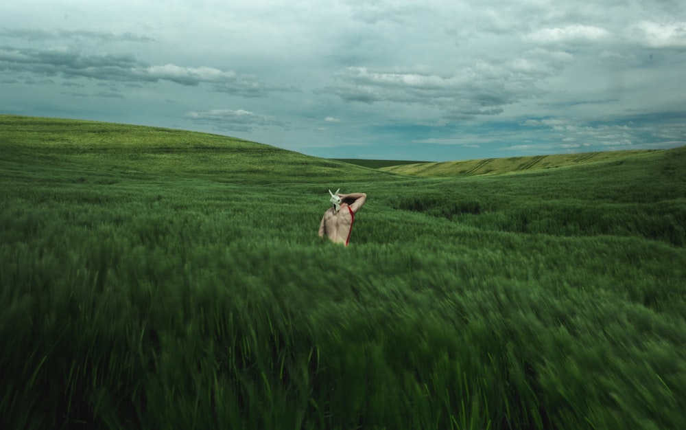 person in green grass field