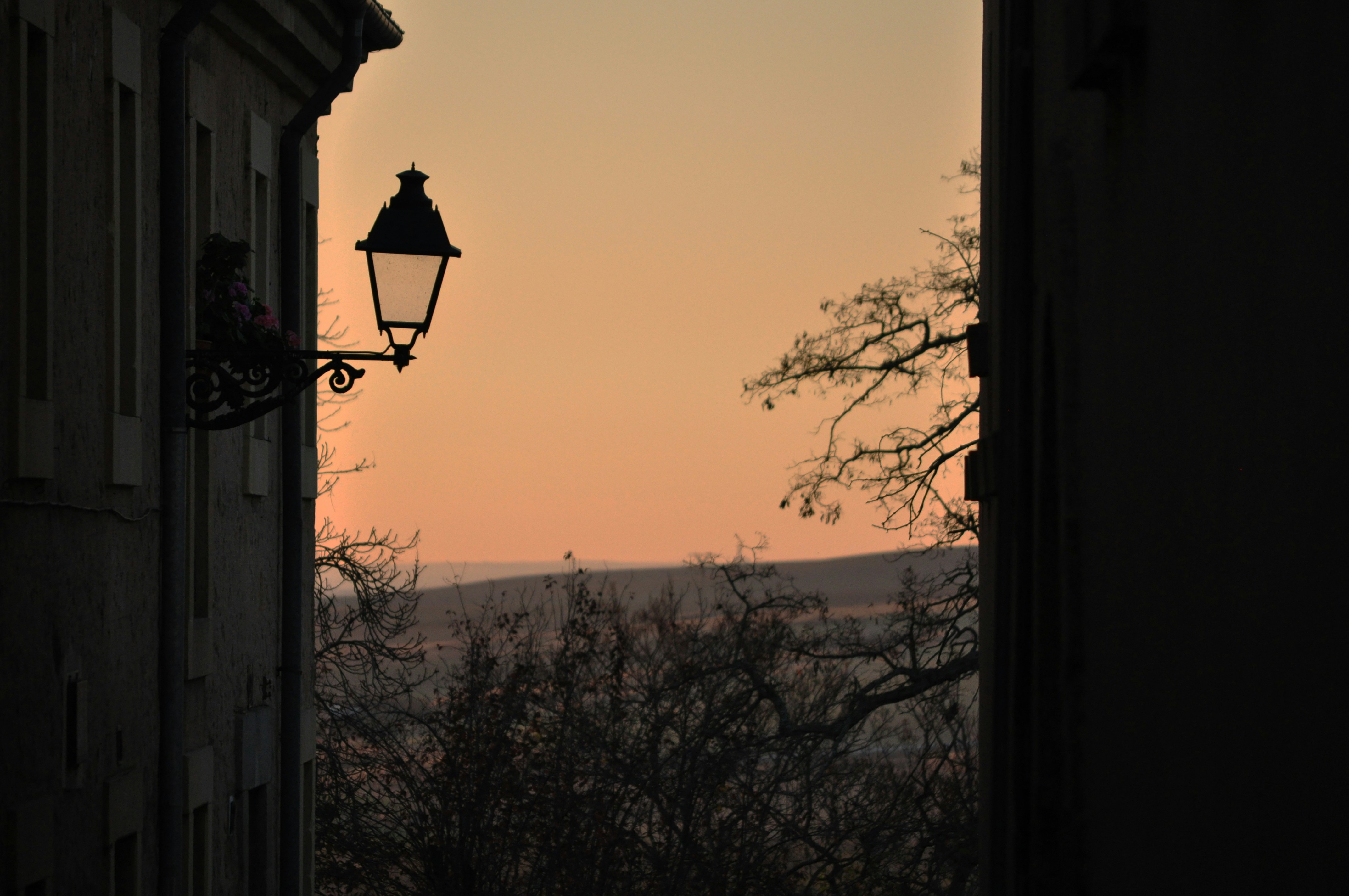 Free Unsplash photo from Carlos Quesada