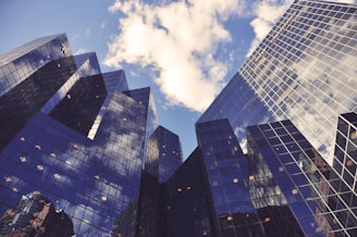 low angle photo of curtain wall building