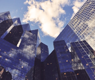 low angle photo of curtain wall building