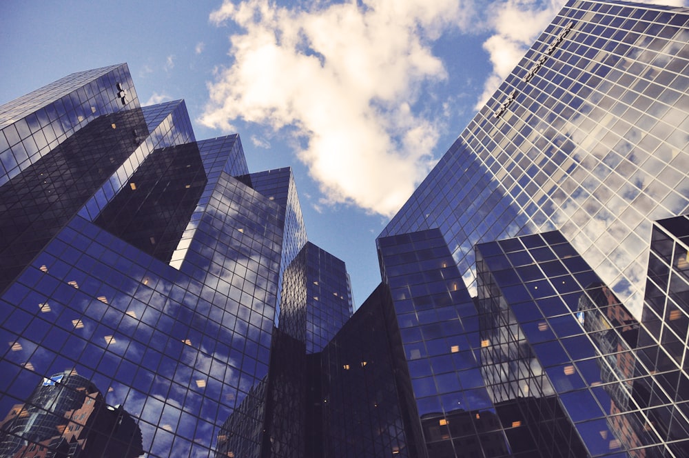 low angle photo of curtain wall building