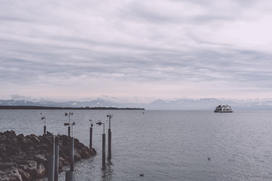 white and black boat on sea under white clouds during daytime in Friedrichshafen Germany