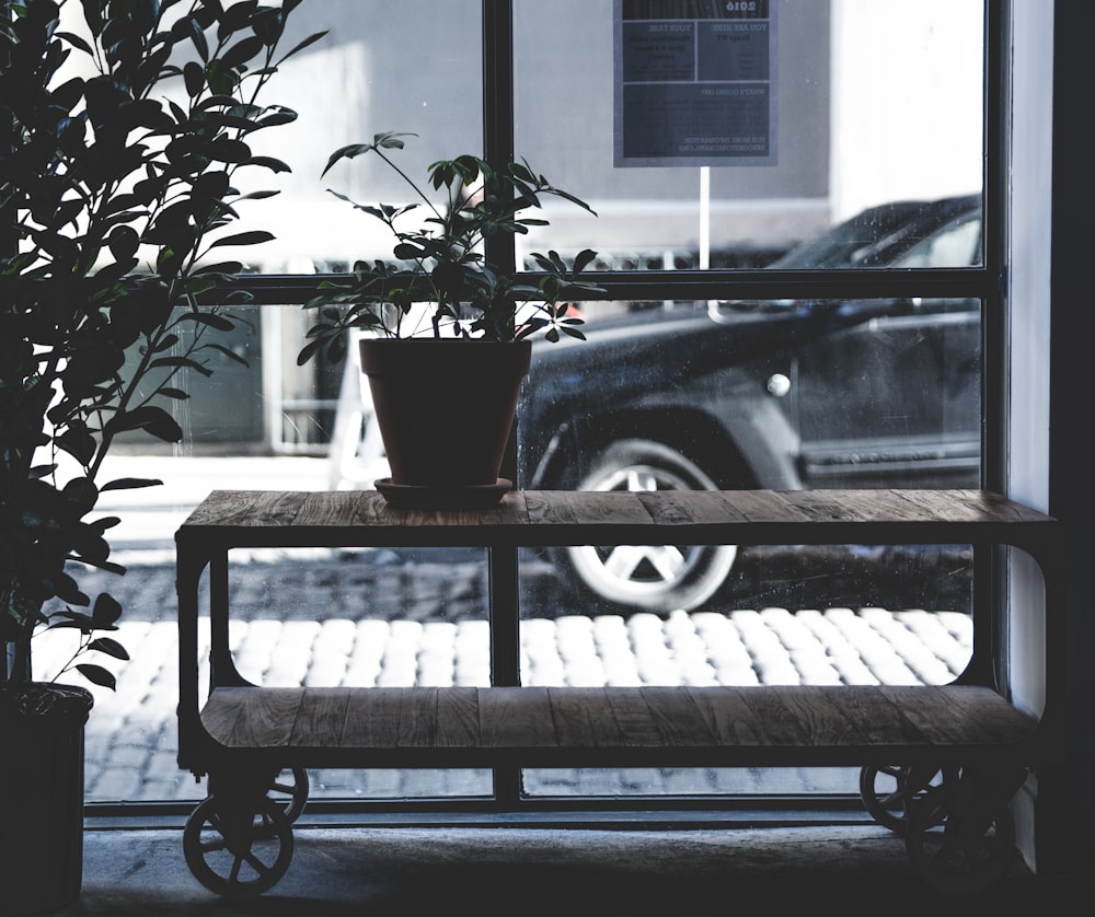 plant pot on console table