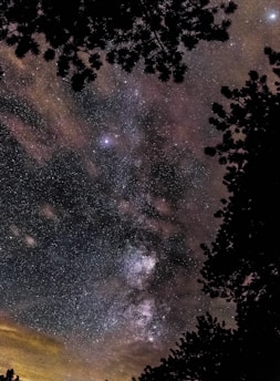 star gazing photography
