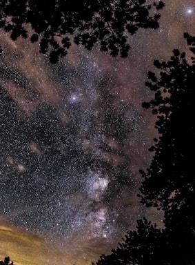 astrophotography,how to photograph milky way rocky mountain; star gazing photography