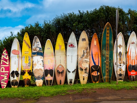 A row of colorful surfboards stands upright against a wire fence, with a backdrop of lush green foliage. The surfboards come in various sizes and designs, featuring a range of colors including yellow, orange, white, and blue. They display a mix of logos and graphics, some with visible wear and tear.