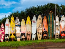 A row of colorful surfboards stands upright against a wire fence, with a backdrop of lush green foliage. The surfboards come in various sizes and designs, featuring a range of colors including yellow, orange, white, and blue. They display a mix of logos and graphics, some with visible wear and tear.