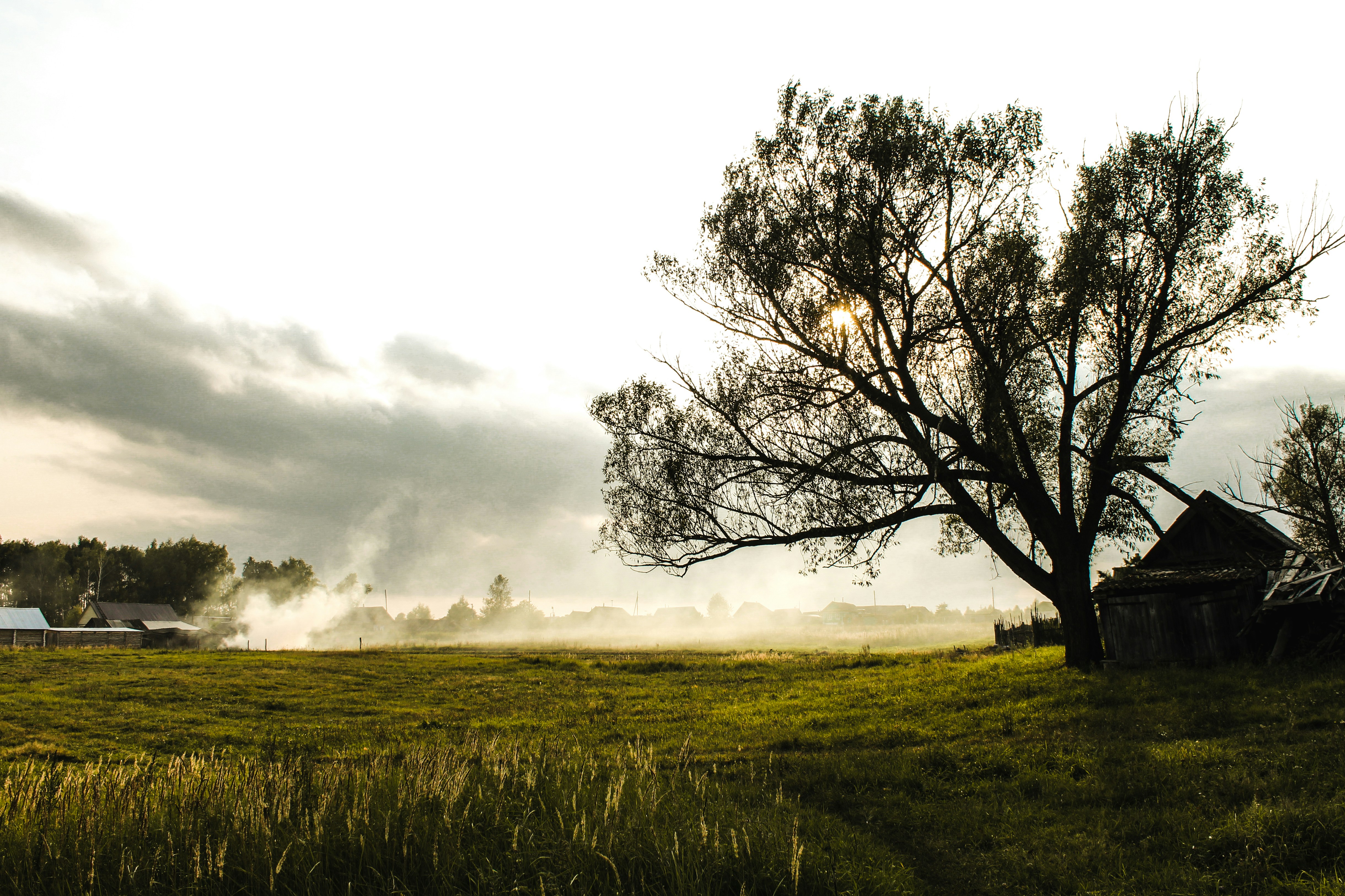 Free Unsplash photo from Il Sobol