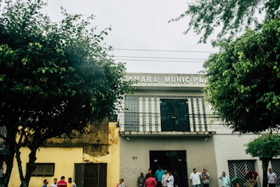 A municipal building with a group of people gathered outside, surrounded by large green trees. The façade is partially covered by foliage, and there is a sign on the building. The scene has an overcast sky, creating a subdued atmosphere.