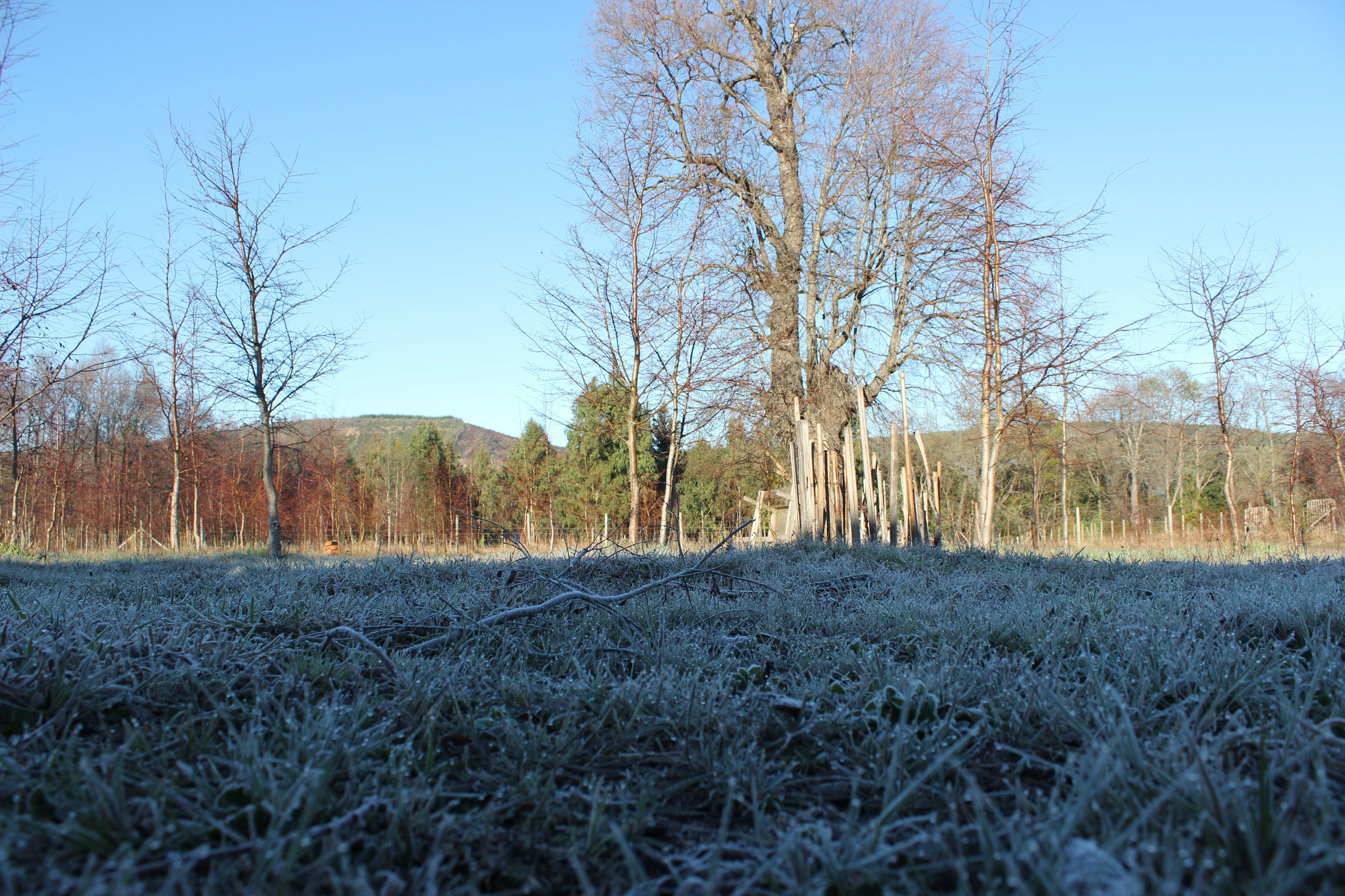 Free Unsplash photo from mauro  mora