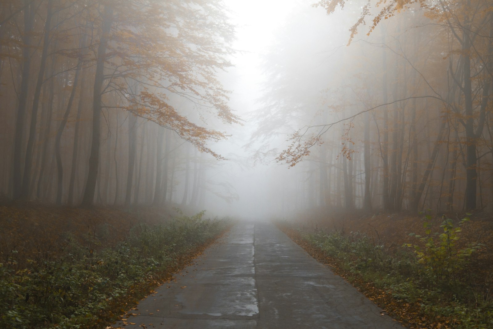 Canon EOS 7D + Canon EF 16-35mm F2.8L II USM sample photo. Gray empty road between photography